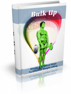 Bulk Up